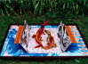Arche Noah 2000,  1999 Krokodile, Geldscheine, Stoff, Postkarten, Lackfarbe und Zinkplatte auf Holz 122 x 150 x 27
